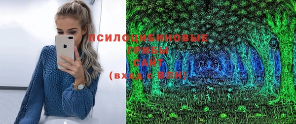 дурь Сосновый Бор
