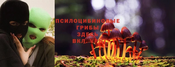МДПВ Сосновка