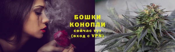 дурь Сосновый Бор