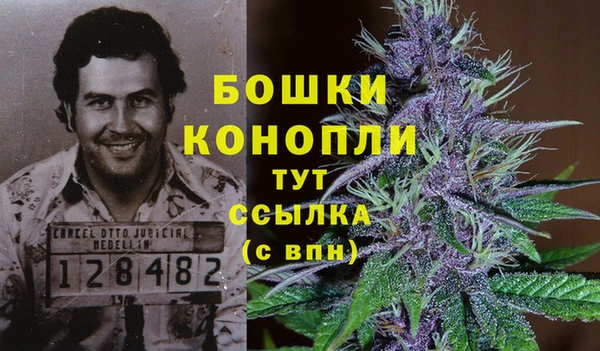 дурь Сосновый Бор