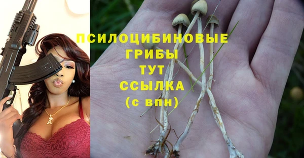 гашишное масло Сосновоборск