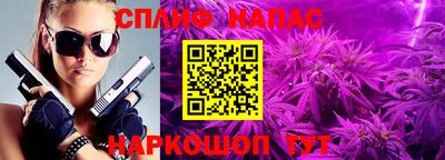 сатива Краснокаменск