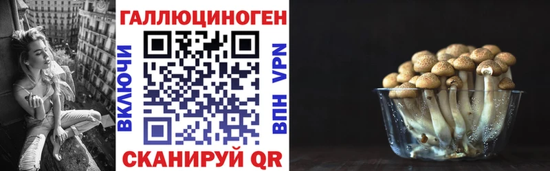 Псилоцибиновые грибы Cubensis Ухта
