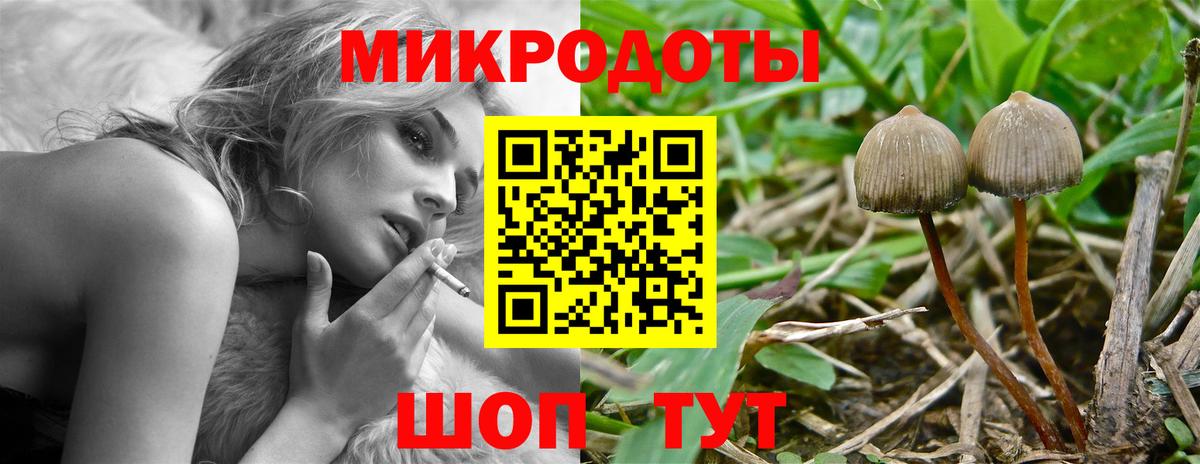 Ухта  Псилоцибиновые грибы мицелий  Псилоцибиновые грибы Psilocybe  Вход с VPN 