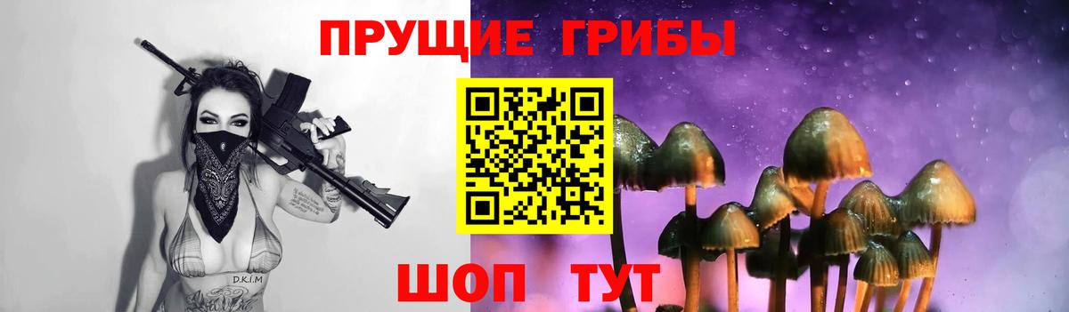 Галлюциногенные грибы Psilocybine cubensis Ухта